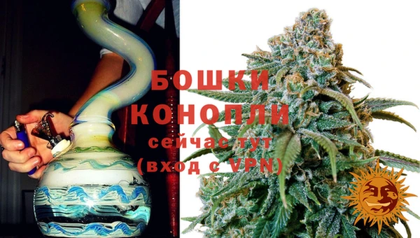 Альфа ПВП Аркадак