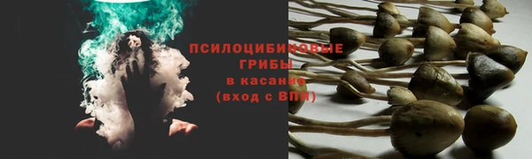 Альфа ПВП Аркадак