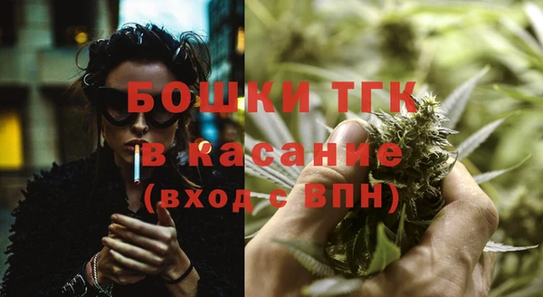 Альфа ПВП Аркадак