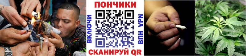 Шишки марихуана THC 21%  МЕГА зеркало  Пустошка  дарнет шоп 